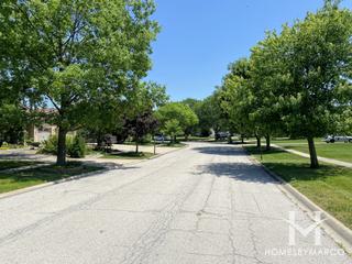 Athen Knolls subdivision in Lemont, IL