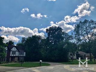Donwood Trails subdivision in Naperville, IL