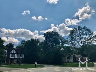 Donwood Trails subdivision in Naperville, IL