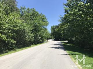 Pines of Spring Creek subdivision in Homer Glen, IL