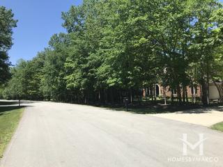 Pines of Spring Creek subdivision in Homer Glen, IL