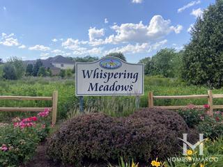 Photos of Whispering Meadows subdivision in Roselle, IL