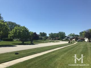 Michael's Place subdivision in Homer Glen, IL