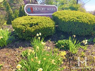 Photos of Hickory Woods subdivision in Antioch, IL