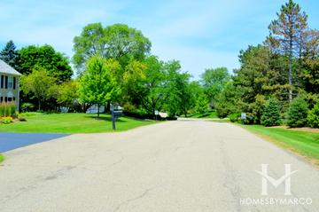 Fenview Estates subdivision in Tower Lakes, IL