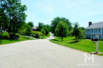 Fenview Estates subdivision in Tower Lakes, IL