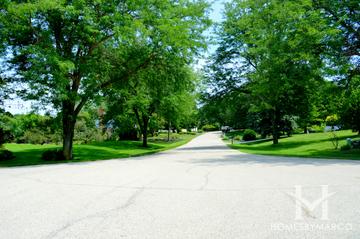Fenview Estates subdivision in Tower Lakes, IL