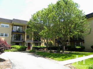 1001 S. Euclid building in Elmhurst, IL