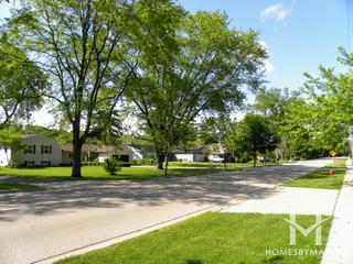 Oak Hills subdivision in Algonquin, IL