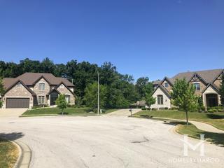 Deer Haven subdivision in Orland Park, IL