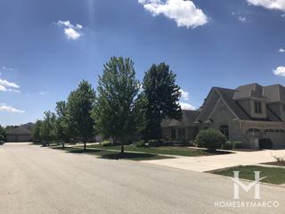 Cypress Pointe subdivision in Homer Glen, IL