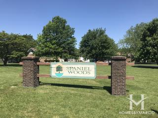 Photos of Spaniel Woods subdivision in Homer Glen, IL