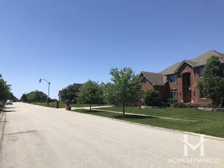 Windsor Court subdivision in Homer Glen, IL