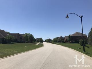 Windsor Court subdivision in Homer Glen, IL