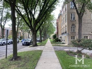 719 Dobson building in Evanston, IL