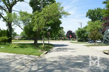 Photos of Ridgeview subdivision in Highland Park, IL