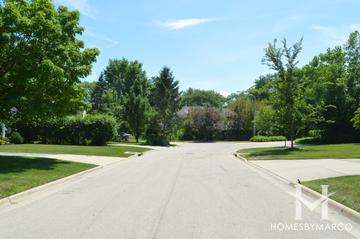 Ridgeview subdivision in Highland Park, IL