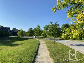 Photos of Meadow Lark subdivision in Lemont, IL