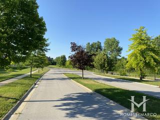 Meadow Lark subdivision in Lemont, IL