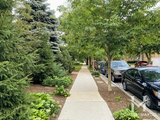 319 Custer building in Evanston, IL