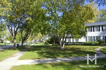 Reseda subdivision in Palatine, IL