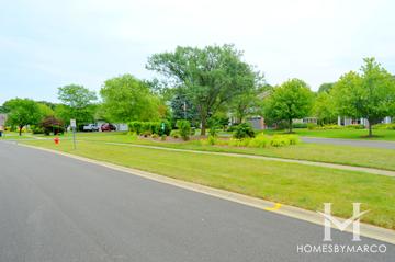Tantara subdivision in Libertyville, IL