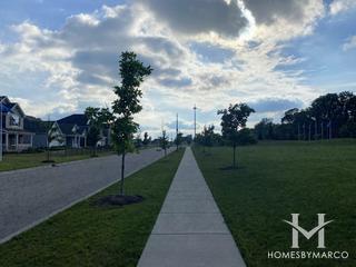 Ponds of Stony Creek subdivision in Elgin, IL