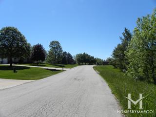 Photos of King Acres subdivision in Homer Glen, IL