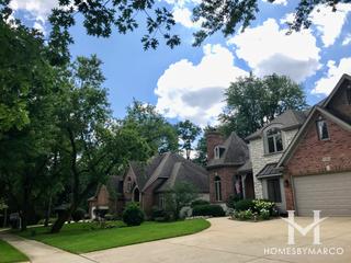 Mulberry Hill subdivision in Naperville, IL