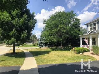 Waterside Farmington Estates subdivision in Oswego, IL