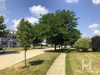 Waterside Farmington Estates subdivision in Oswego, IL