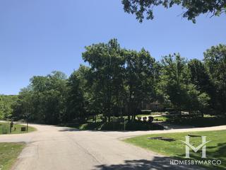 Spring Creek Trails subdivision in Homer Glen, IL