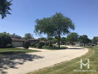 Somerset Hill subdivision in Homer Glen, IL