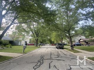 Photos of Applewood subdivision in Bolingbrook, IL