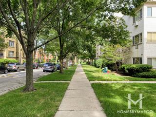 810 Dobson building in Evanston, IL