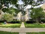 810 Dobson