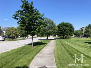 Chapman Court subdivision in Darien, IL