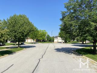 Chapman Court subdivision in Darien, IL