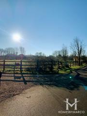 Wooded Estates subdivision in McHenry, IL