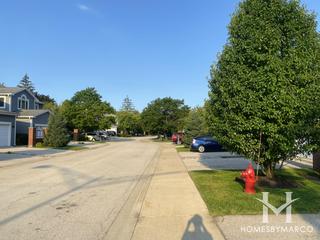 The Mews subdivision in Northbrook, IL
