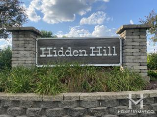 Photos of Hidden Hills subdivision in Elgin, IL