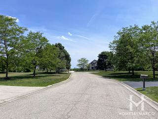 Hawthorn Ridge subdivision in Hawthorn Woods, IL
