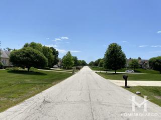 Moorfield Estates subdivision in Lemont, IL