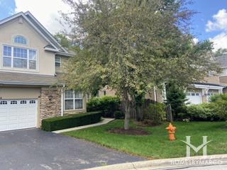 Briar Ridge subdivision in Naperville, IL