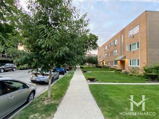 339 Custer building in Evanston, IL