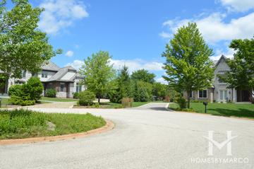 Abbey Woods subdivision in Barrington, IL