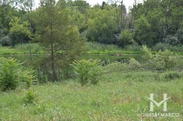 Woodland Shores subdivision in Barrington, IL