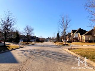 Broadmoor subdivision in the Gregg's Landing neighborhood of Vernon Hills, IL