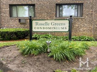 Photos of Roselle Greens subdivision in Roselle, IL