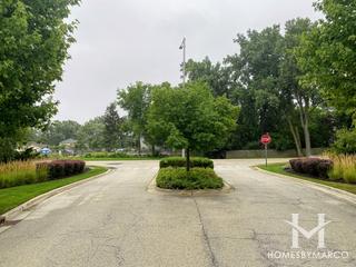 Alexandra Court subdivision in Northbrook, IL